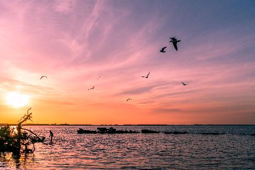 Sunset over Tampa Bay, near our new homes in Ruskin, FL