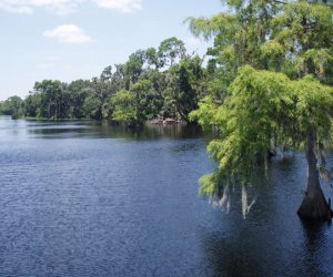 Lakefront Homes in Mulberry