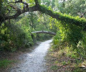 Ocala Silver Springs State Park