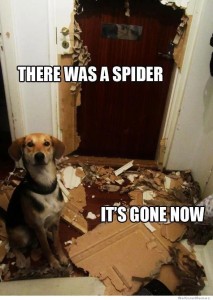 Pest Control Dog Meme