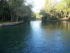 Wekiwa Springs in Apopka is one of over 900 springs in Florida