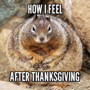 Thanksgiving_meme