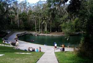 Spring Pool at Wekiwa Springs State Park