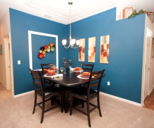 Willow Model in Lakeland