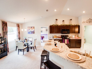 kitchen and dining area