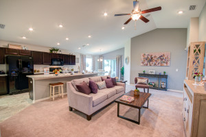 living room in a Highland home