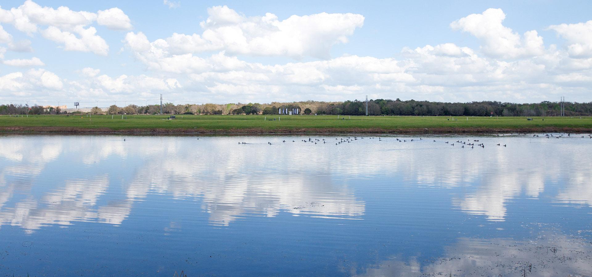 Ducks swimming in a lake at Lakeside Preserve