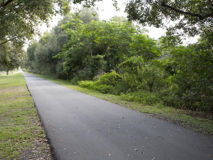 Auburndale TECO Trail near the Auburndale Dog Park